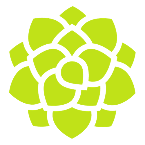 the Burnout Proof Leaders logo; a succulent with many leaves