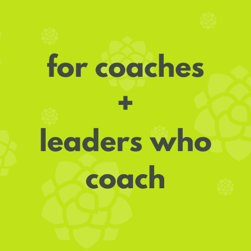 Category text 'for coaches + leaders who coach'